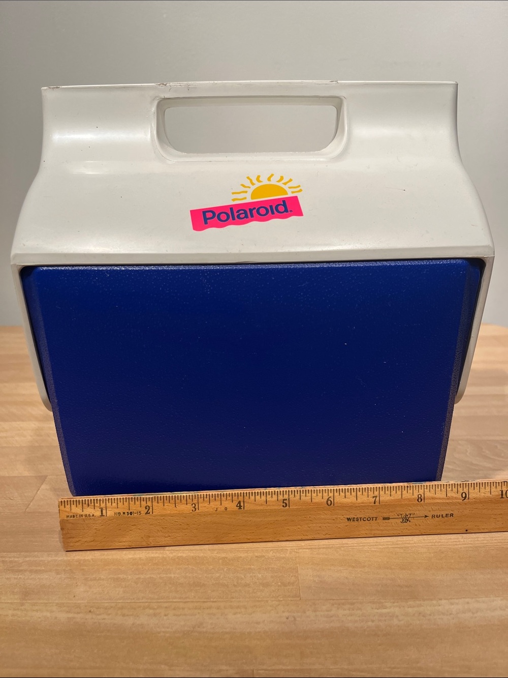 Igloo White and Blue Retro Storage Case with Handle